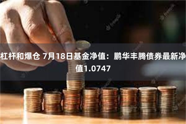 杠杆和爆仓 7月18日基金净值：鹏华丰腾债券最新净值1.0747