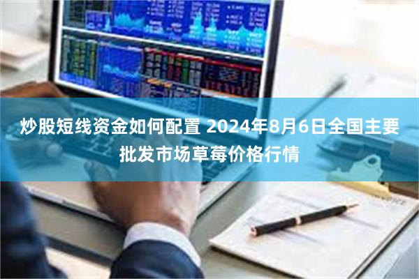 炒股短线资金如何配置 2024年8月6日全国主要批发市场草莓价格行情