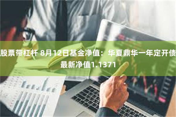 股票带杠杆 8月12日基金净值：华夏鼎华一年定开债最新净值1.1371