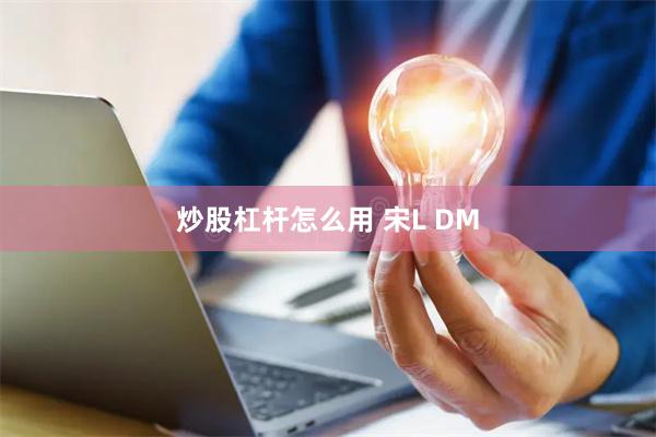 炒股杠杆怎么用 宋L DM