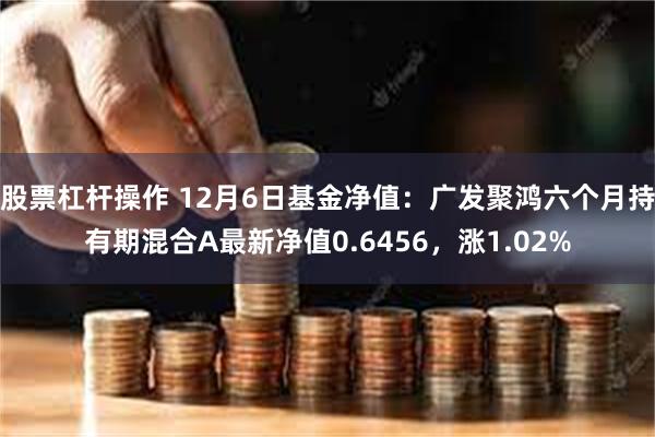 股票杠杆操作 12月6日基金净值：广发聚鸿六个月持有期混合A最新净值0.6456，涨1.02%